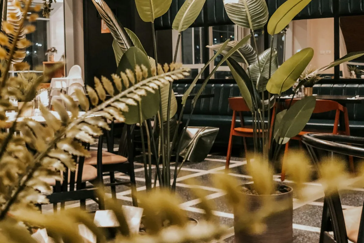 A leafy café interior with warm wooden tables